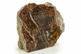 Polished Yellow Cat Jasper/Agate Replaced Petrified Wood - Utah #322650-1